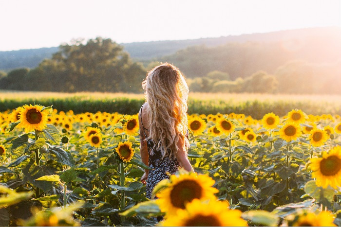 Cuộc thi viết Trà sữa cho tâm hồn: Đừng là hướng dương mãi ngóng về Mặt Trời ảnh 3