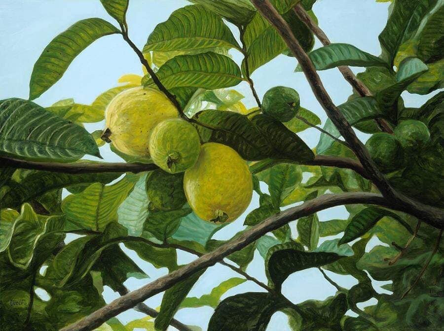 Thu đã vàng ươm rụng đầy trước cửa, thế mà lũ trẻ chúng tôi vẫn đang nghỉ Hè ảnh 4