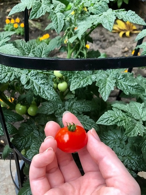 Cuộc thi viết Trà sữa cho tâm hồn: Hãy rực rỡ, đừng ngồi yên khi mùa Hè đến! ảnh 2