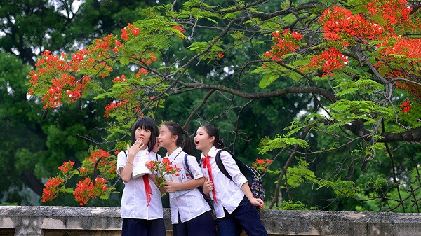 Thu đã vàng ươm rụng đầy trước cửa, thế mà lũ trẻ chúng tôi vẫn đang nghỉ Hè ảnh 5