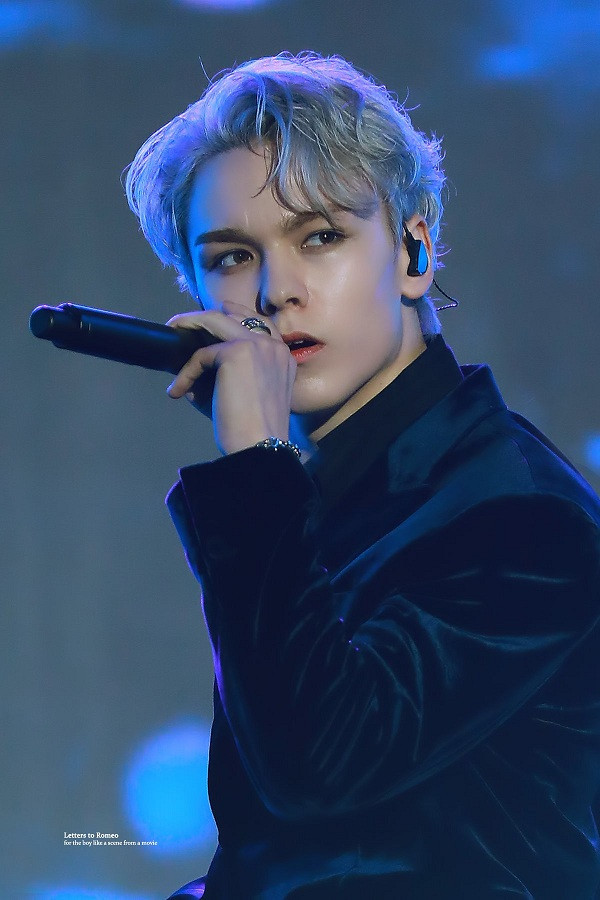 Trong thế giới fangirl: Vernon là chàng hoàng tử bạch mã của một cô gái thuở mộng mơ ảnh 4