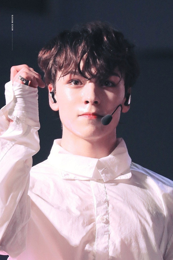 Trong thế giới fangirl: Vernon là chàng hoàng tử bạch mã của một cô gái thuở mộng mơ ảnh 3