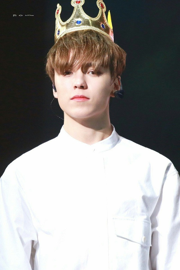 Trong thế giới fangirl: Vernon là chàng hoàng tử bạch mã của một cô gái thuở mộng mơ ảnh 5
