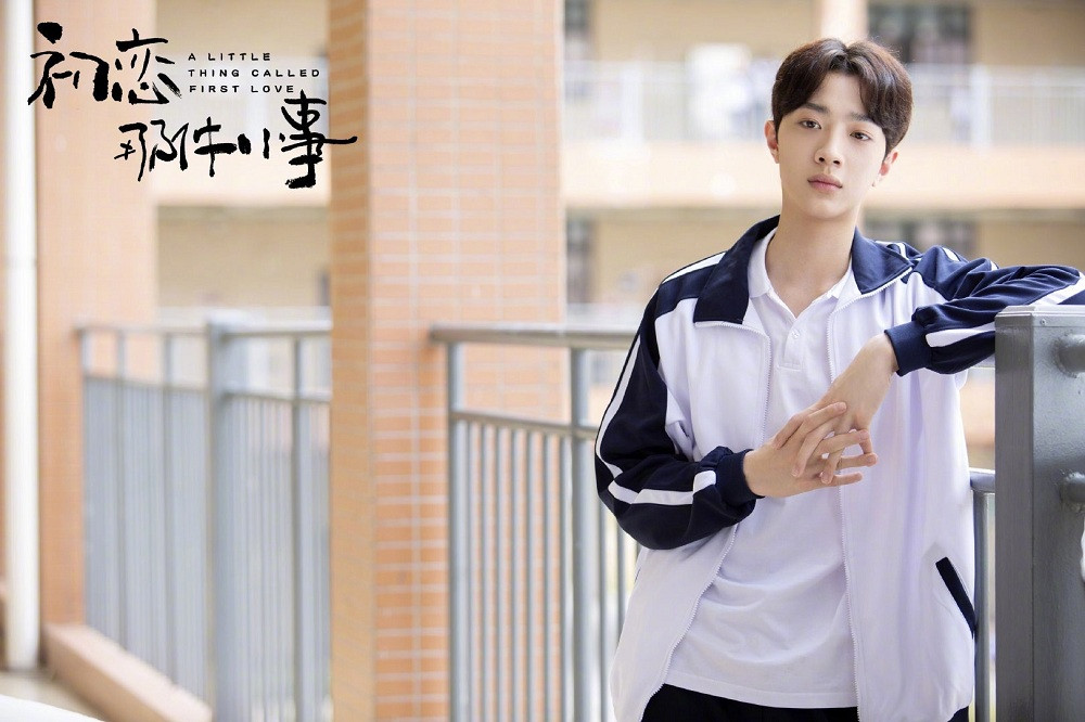 Chu Khiết Quỳnh và Lại Quán Lâm: Ở Hàn nổi tiếng đỉnh chóp, về Trung nát tan hình tượng ảnh 10