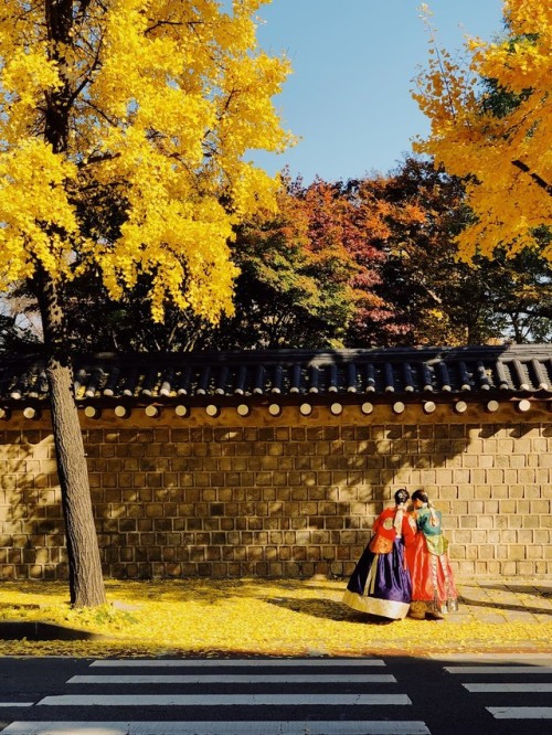 Cảm ơn Seoul đã dạy tôi trưởng thành, dạy tôi một cuộc sống tự lập. (Ảnh minh họa, nguồn Tumblr) Cuộc thi viết Trà sữa cho tâm hồn: Cảm ơn và tạm biệt Seoul, thành phố tôi đã yêu! ảnh 2