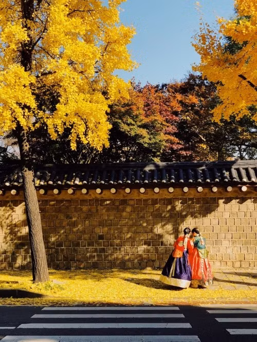 Cuộc thi viết Trà sữa cho tâm hồn: Cảm ơn và tạm biệt Seoul, thành phố tôi đã yêu! ảnh 2