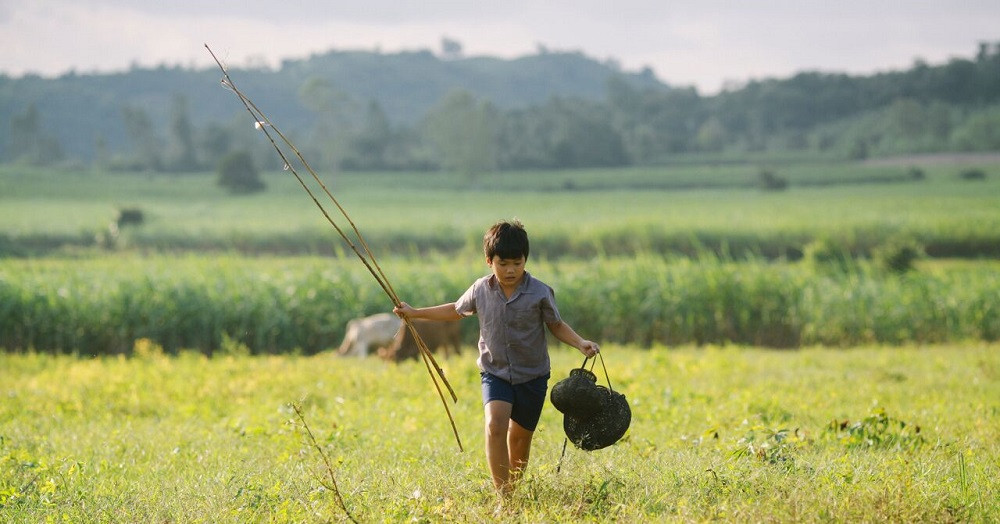 Không hiểu sao mùi luyện mía cứ ngọt ngào đi vào kí ức của chúng tôi. (Ảnh minh họa: Phim Tôi Thấy Hoa Vàng Trên Cỏ Xanh) Cuộc thi viết Trà sữa cho tâm hồn: Mùi mía đường ướp mật ngọt ngào tuổi thơ tôi ảnh 2