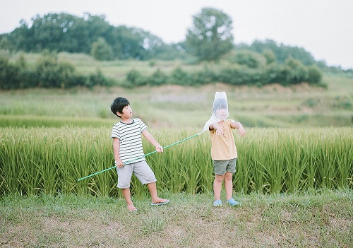 Cuộc thi viết Trà sữa cho tâm hồn: Thương đầu xanh những ngày còn chưa biết buồn ảnh 2