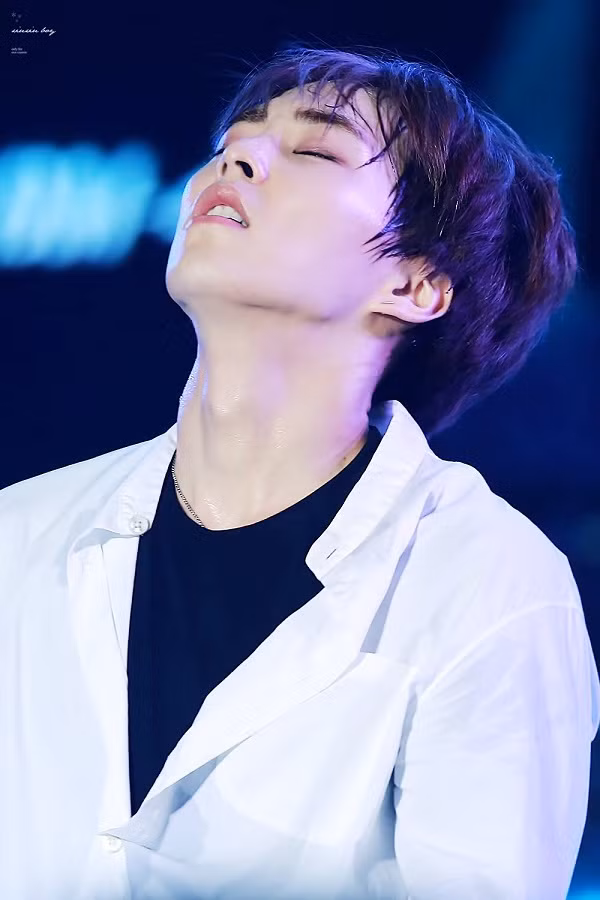 Trong thế giới fangirl: Chàng tiên tử duy nhất của lòng em - EXO Xiumin ảnh 1