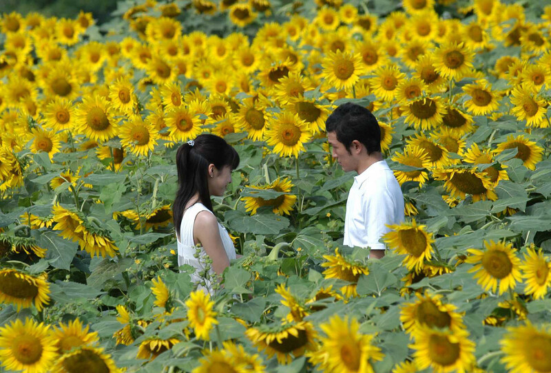 Một trong những cảnh phim kinh điển của "Be With You". (Ảnh: Toho Studio) Như bộ phim kinh điển “Be With You”, Yuko Takeuchi sẽ mãi sống trong lòng khán giả ảnh 3