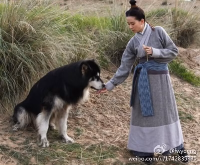 Khi các “hoàng thượng” đi đóng phim”: Lang Điện Hạ phải đặc biệt tìm “diễn viên nhí“! ảnh 7