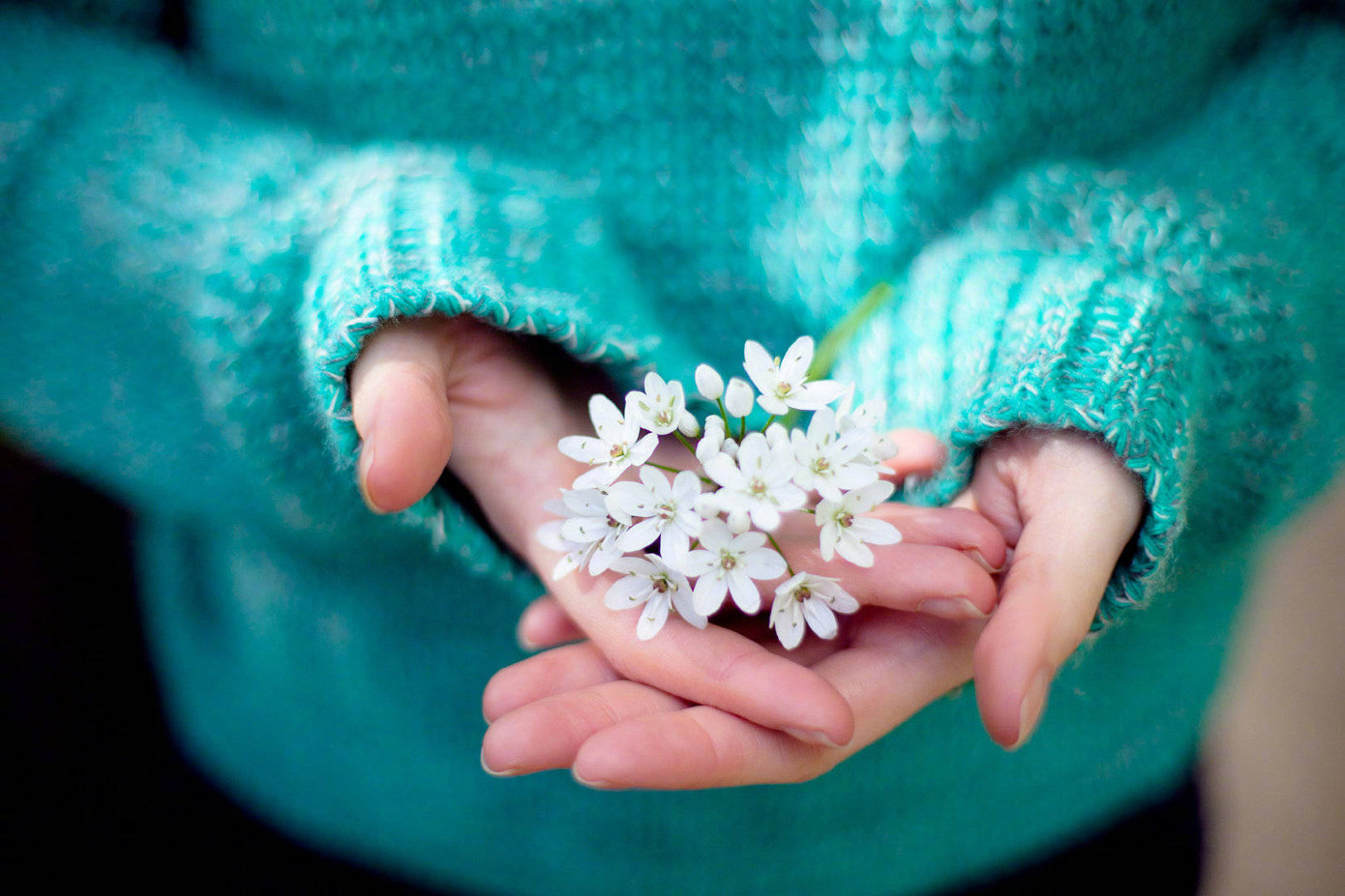 Cuộc thi viết Trà sữa cho tâm hồn: Hạnh phúc là được nắm lấy bàn tay mùa Xuân ảnh 3