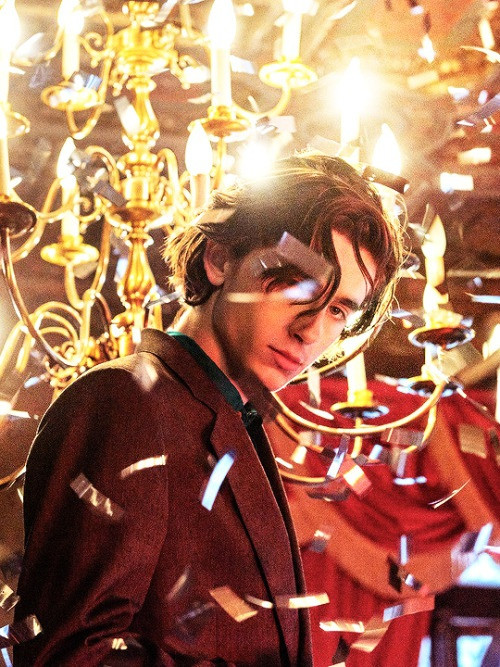 Trong thế giới fangirl: Mùa Hè năm ấy, chàng thơ Timothée Chalamet bước vào cuộc đời tớ ảnh 4