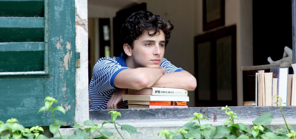 Trong thế giới fangirl: Mùa Hè năm ấy, chàng thơ Timothée Chalamet bước vào cuộc đời tớ ảnh 1