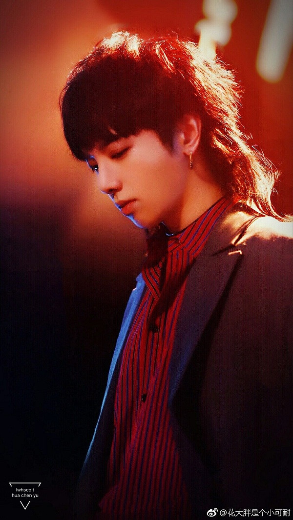 Trong thế giới fangirl: Càng lớn càng mất đi can đảm, rồi một ngày gặp được Hoa Thần Vũ ảnh 4