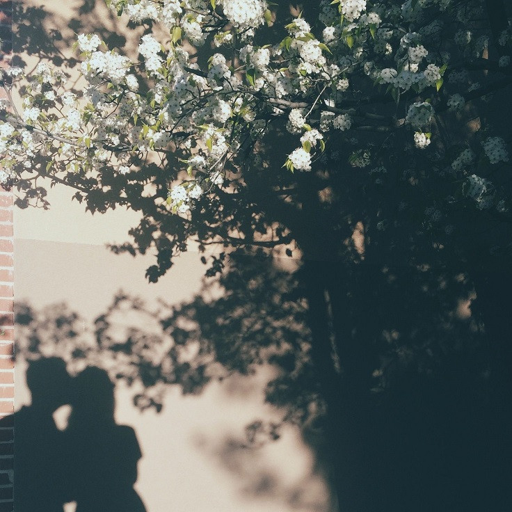 Cuộc thi viết Trà sữa cho tâm hồn: Hãy cứ cho nhau một lời hẹn ảnh 4