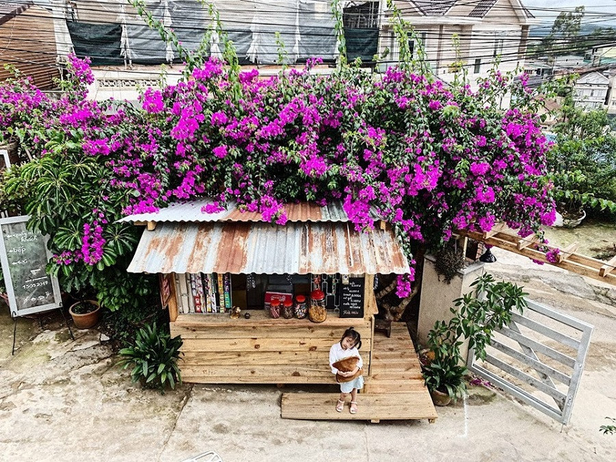 Cuộc thi viết Trà sữa cho tâm hồn: Mấy đồng mua được mộng mơ ảnh 3