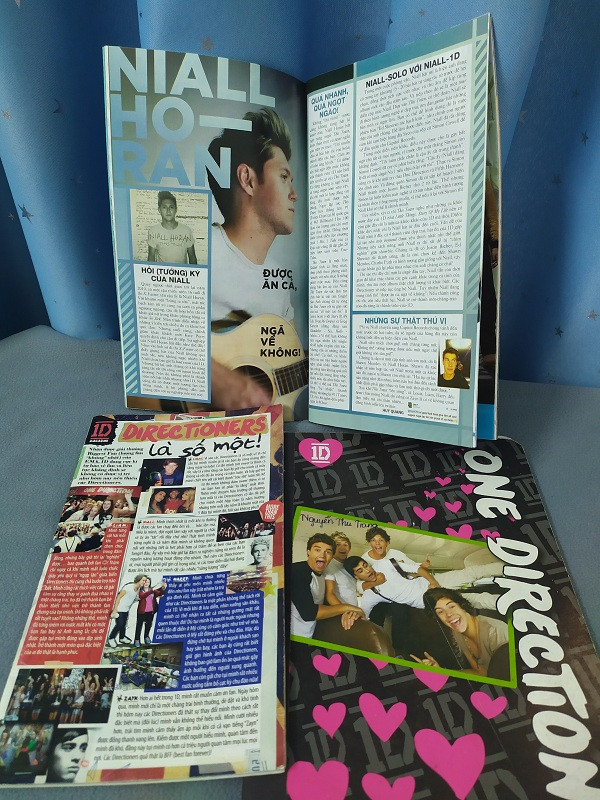 Trong thế giới fangirl: Nguyện mãi là “Phi hành gia” nhỏ bé trong hành tinh Directioners ảnh 2