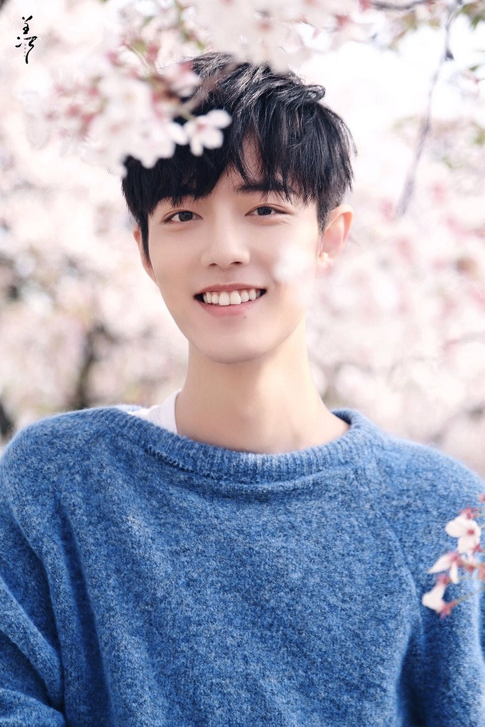 Trong thế giới fangirl: Tôi có một đoạn thanh xuân mang tên Tiêu Chiến ảnh 3