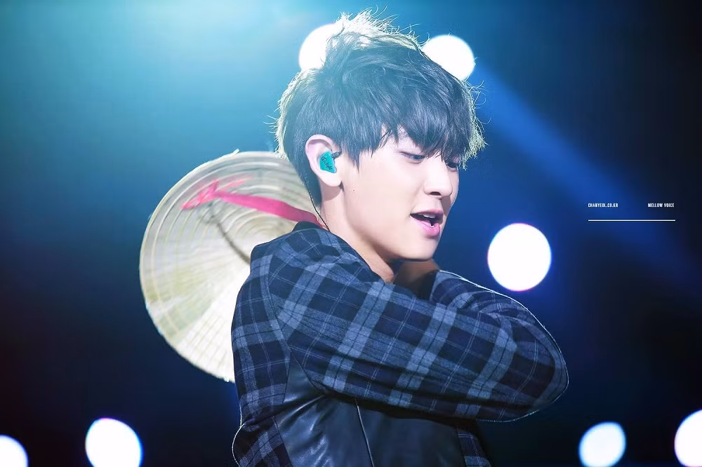 Trong thế giới fangirl: Thanh xuân của tôi chẳng có gì đặc biệt, chỉ có EXO là đặc biệt! ảnh 3