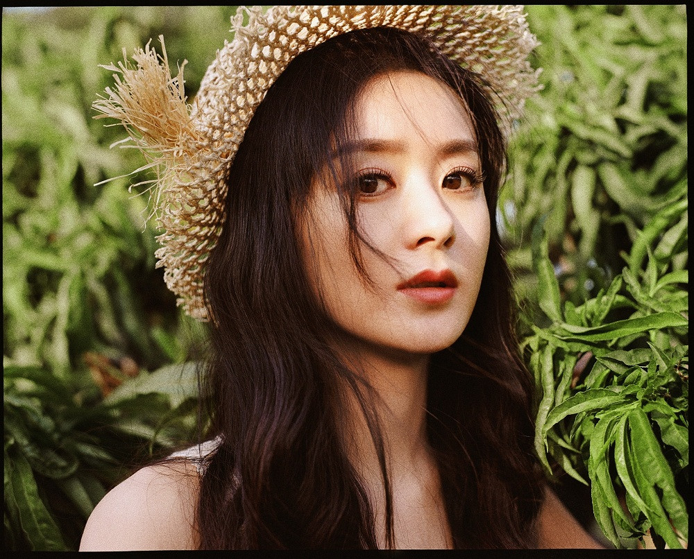 Trong thế giới fangirl: Nhật ký yêu nghiêm túc một ngôi sao nhỏ mang tên Triệu Lệ Dĩnh ảnh 2