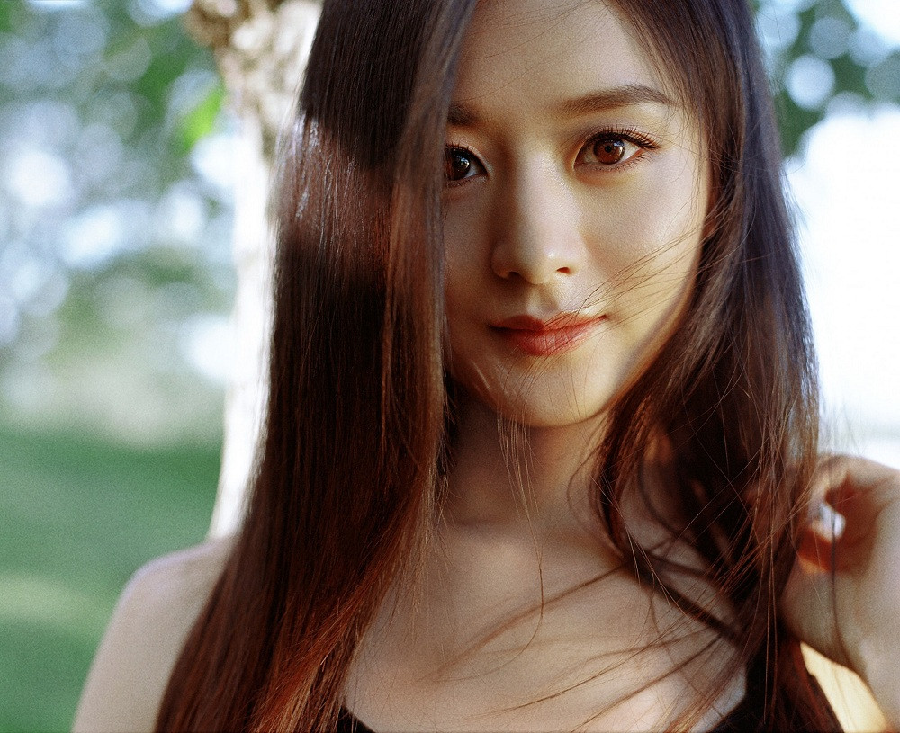 Trong thế giới fangirl: Nhật ký yêu nghiêm túc một ngôi sao nhỏ mang tên Triệu Lệ Dĩnh ảnh 1