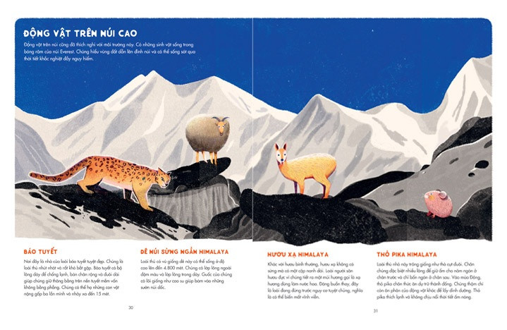 “Lướt cùng Tí Địa Lí” và “Chinh phục Everest”: Sách vừa học vừa chơi, rong ruổi thế giới ảnh 4