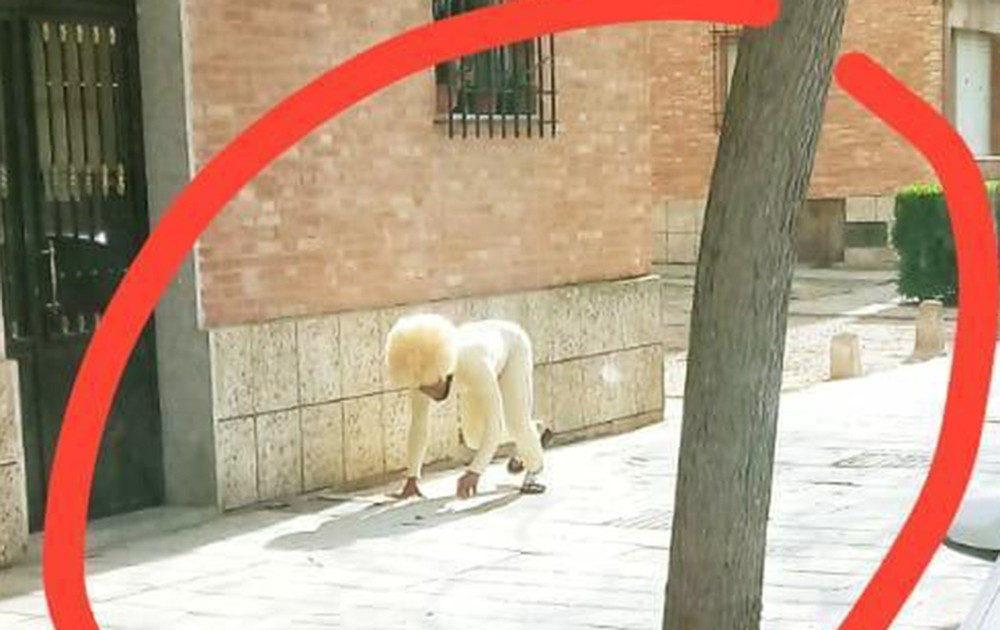 nếu không nhìn kĩ ta sẽ lại tưởng một loài vật mới vừa được nhân loại phát hiện. Ảnh: Twitter “Tuần lễ thời trang Cô-vy 2020”: Ngàn kiểu ra đường mùa dịch không thể “lồng lộn” hơn ảnh 6