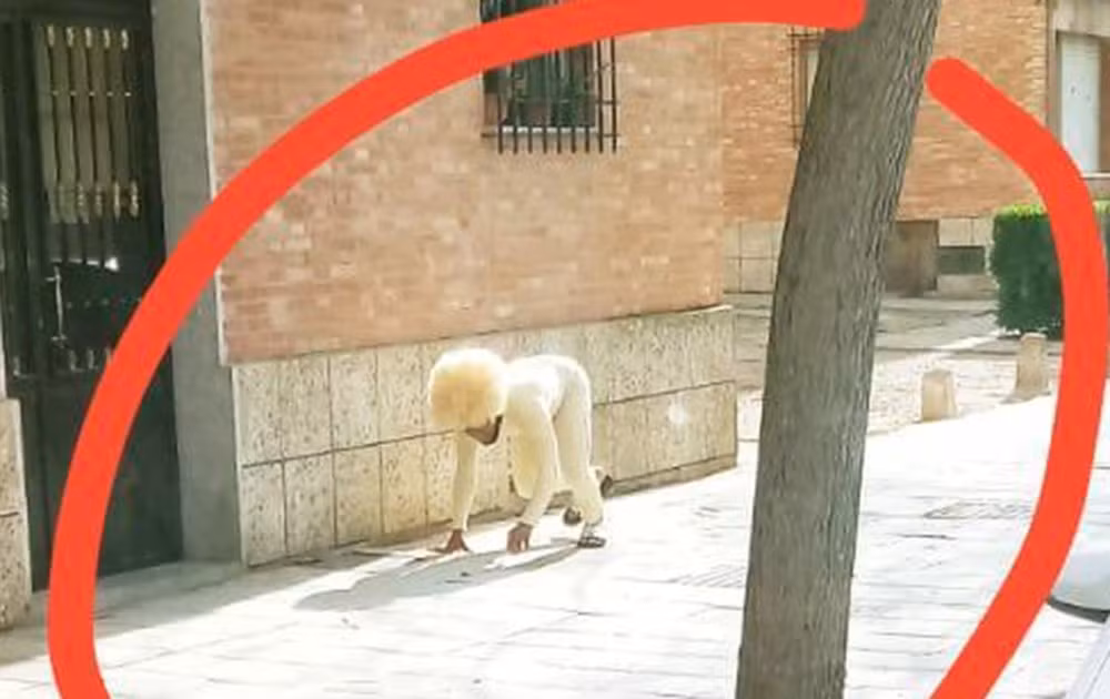 “Tuần lễ thời trang Cô-vy 2020”: Ngàn kiểu ra đường mùa dịch không thể “lồng lộn” hơn ảnh 6