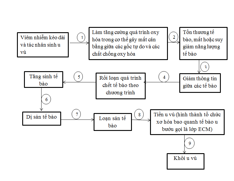 Oncolysin - Giải pháp hỗ trợ điều trị ung thư vú được chuyên gia khuyên dùng ảnh 1