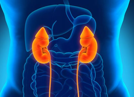 Định Áp Vương - Phương pháp phòng ngừa biến chứng tăng huyết áp hiệu quả ảnh 2