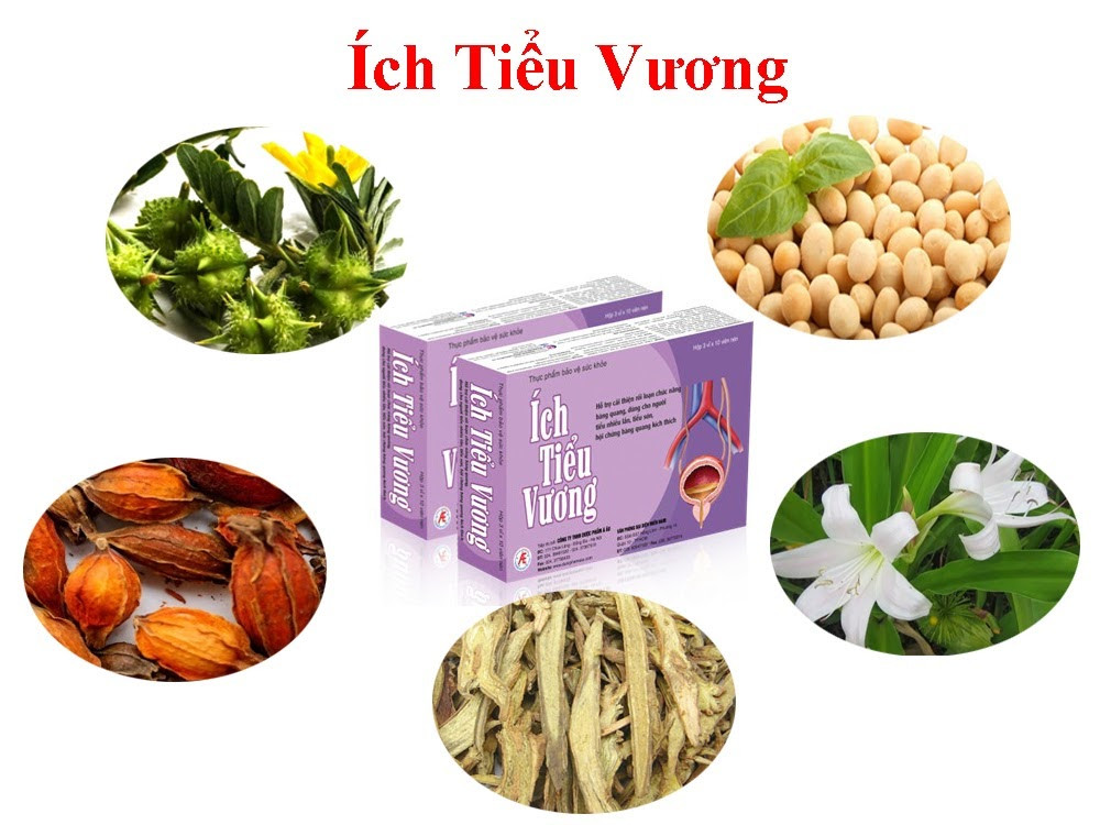 Ích Tiểu Vương – Hy vọng mới dành cho người cao tuổi mắc tiểu không tự chủ ảnh 3