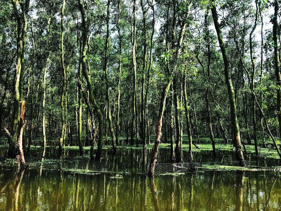 Sức khỏe là vốn liếng ảnh 2