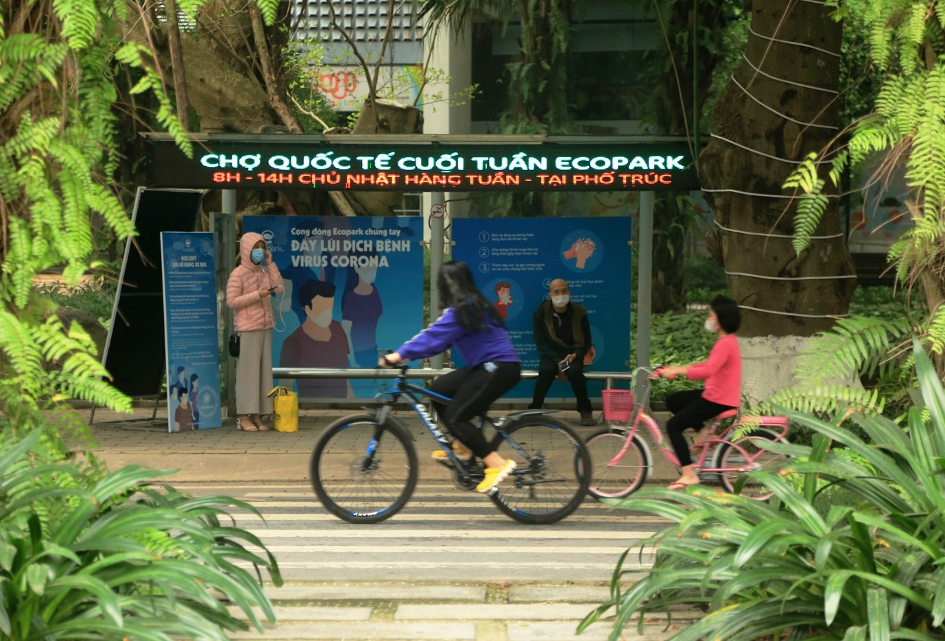 Tập đoàn Ecopark chung tay cùng cộng đồng phòng chống dịch COVID-19 ảnh 3