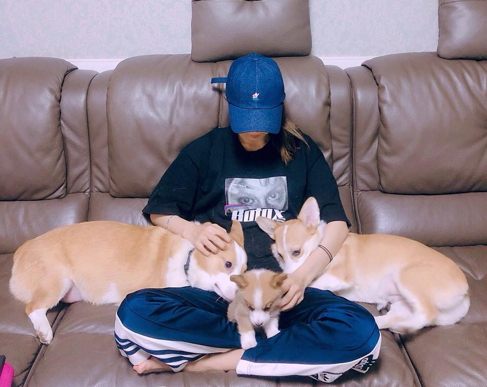 Xuất hiện dàn “boss cưng” sang chảnh của hội idol khi tham gia Đại hội thể thao K-Pop 2020 ảnh 2