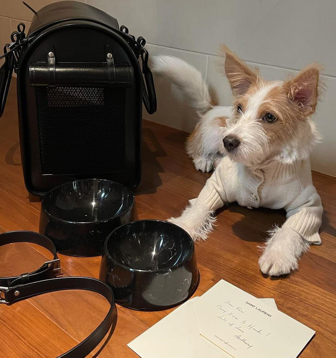 “Sen” là Đại sứ Saint Laurent, "boss" nhà Rosé nhận quà Giáng Sinh trăm triệu ảnh 2