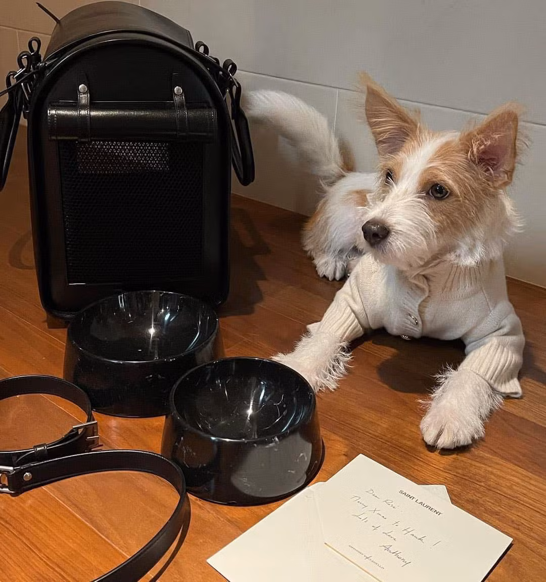“Sen” là Đại sứ Saint Laurent, "boss" nhà Rosé nhận quà Giáng Sinh trăm triệu ảnh 2