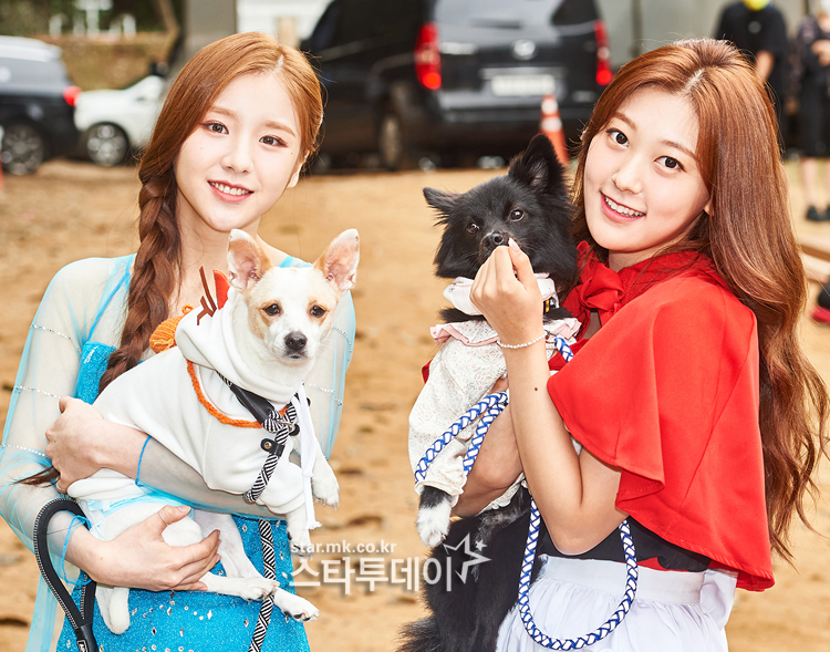 Xuất hiện dàn “boss cưng” sang chảnh của hội idol khi tham gia Đại hội thể thao K-Pop 2020 ảnh 10