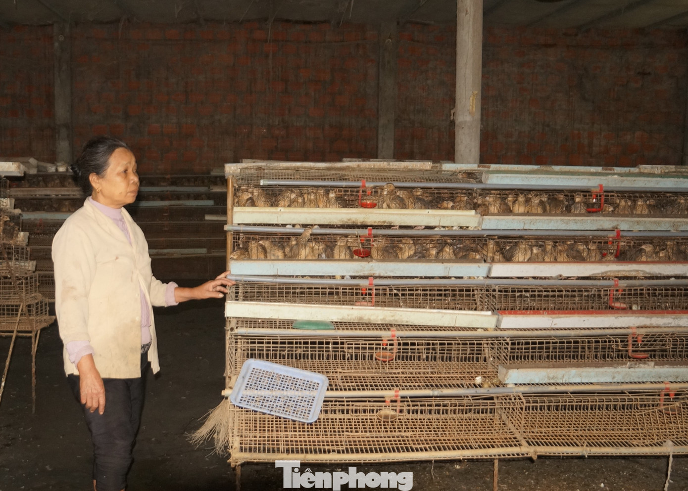 Tổ tình nguyện chia cơm nước, trẻ em dùng bè chuối đi nhận tiếp tế ảnh 13