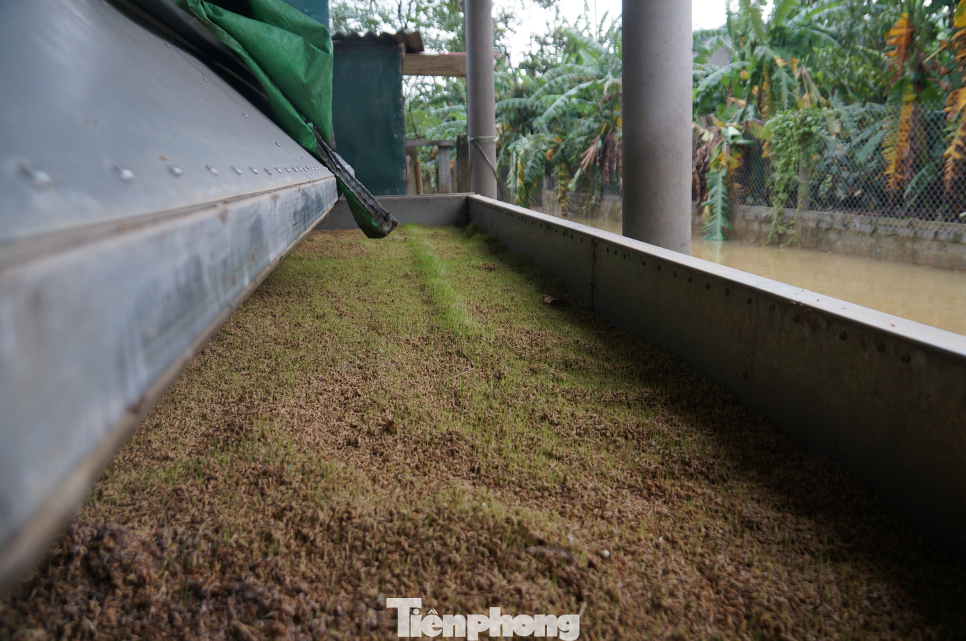 Tổ tình nguyện chia cơm nước, trẻ em dùng bè chuối đi nhận tiếp tế ảnh 10