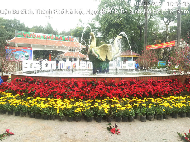 Công viên, vườn thú Hà Nội rực rỡ cờ hoa, sẵn sàng đón du khách dịp Tết ảnh 8