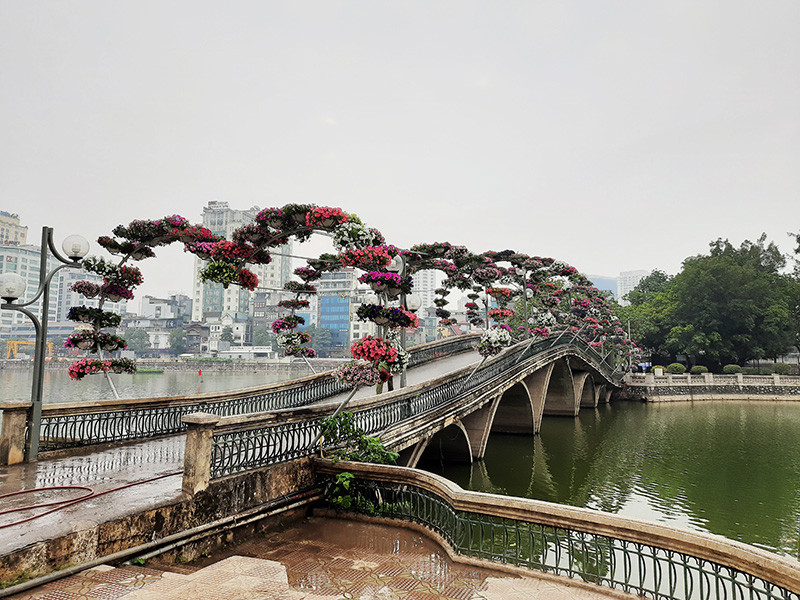 Công viên, vườn thú Hà Nội rực rỡ cờ hoa, sẵn sàng đón du khách dịp Tết ảnh 9