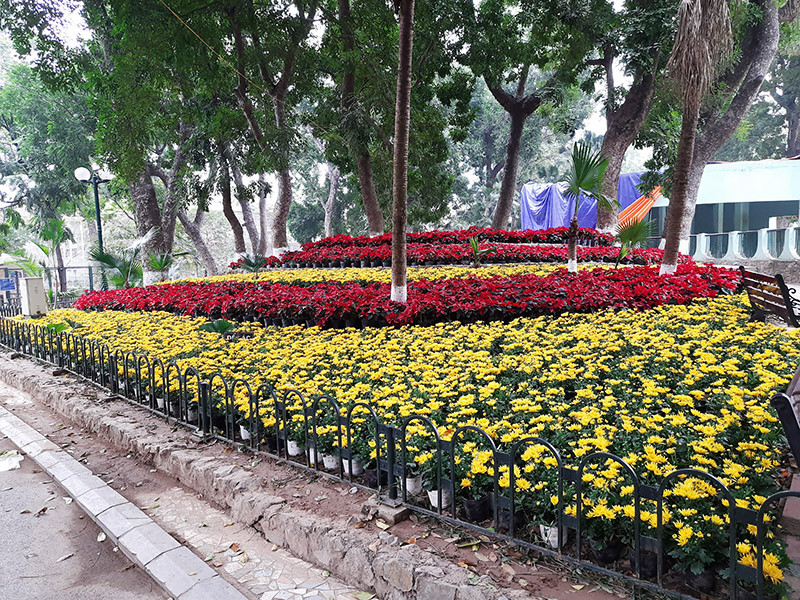 Công viên, vườn thú Hà Nội rực rỡ cờ hoa, sẵn sàng đón du khách dịp Tết ảnh 10
