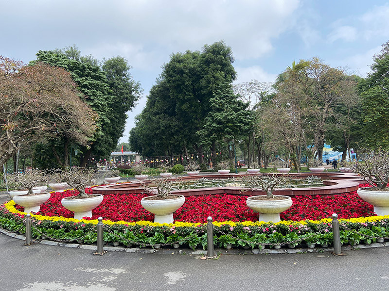 Công viên, vườn thú Hà Nội rực rỡ cờ hoa, sẵn sàng đón du khách dịp Tết ảnh 7