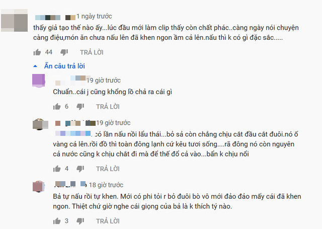 Bà Tân Vlog bị dân mạng phản ứng gay gắt ảnh 3