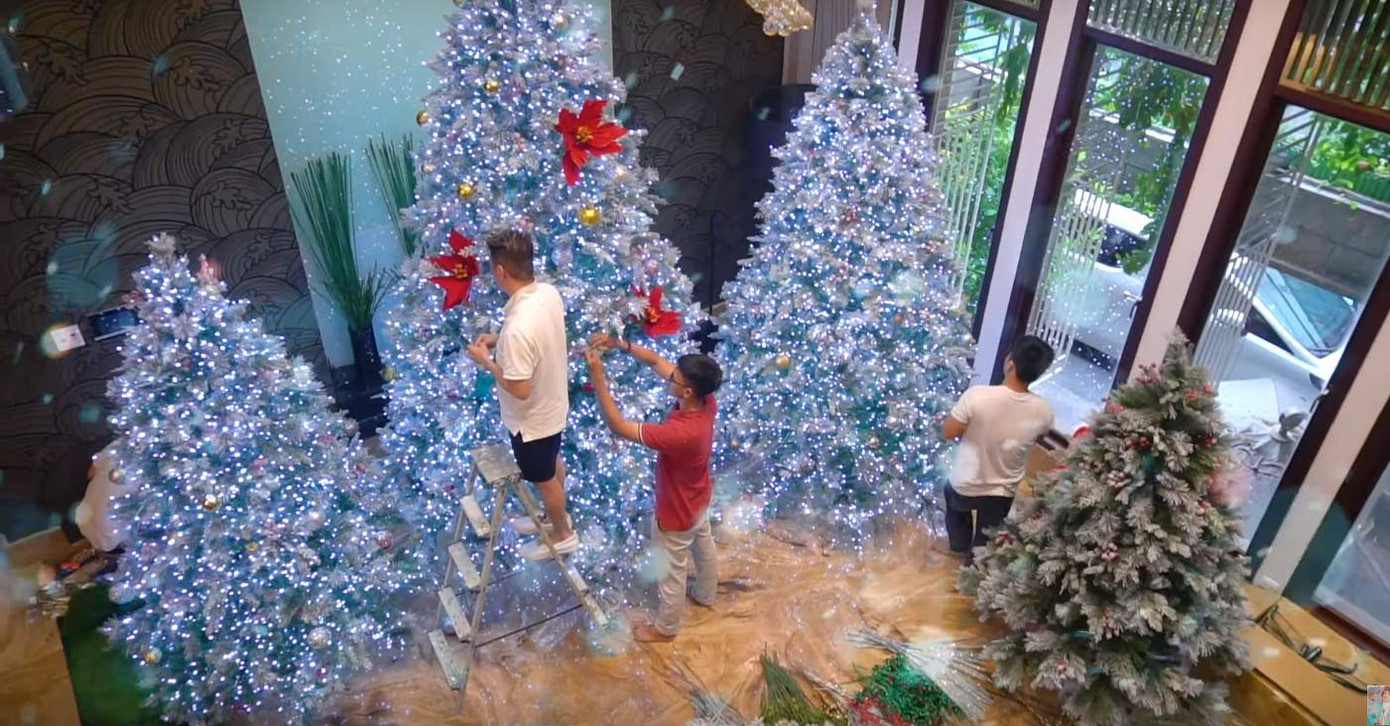 Đàm Vĩnh Hưng gây 'sốt' khi đeo bờm tuần lộc trang trí biệt thự đón Giáng sinh ảnh 1