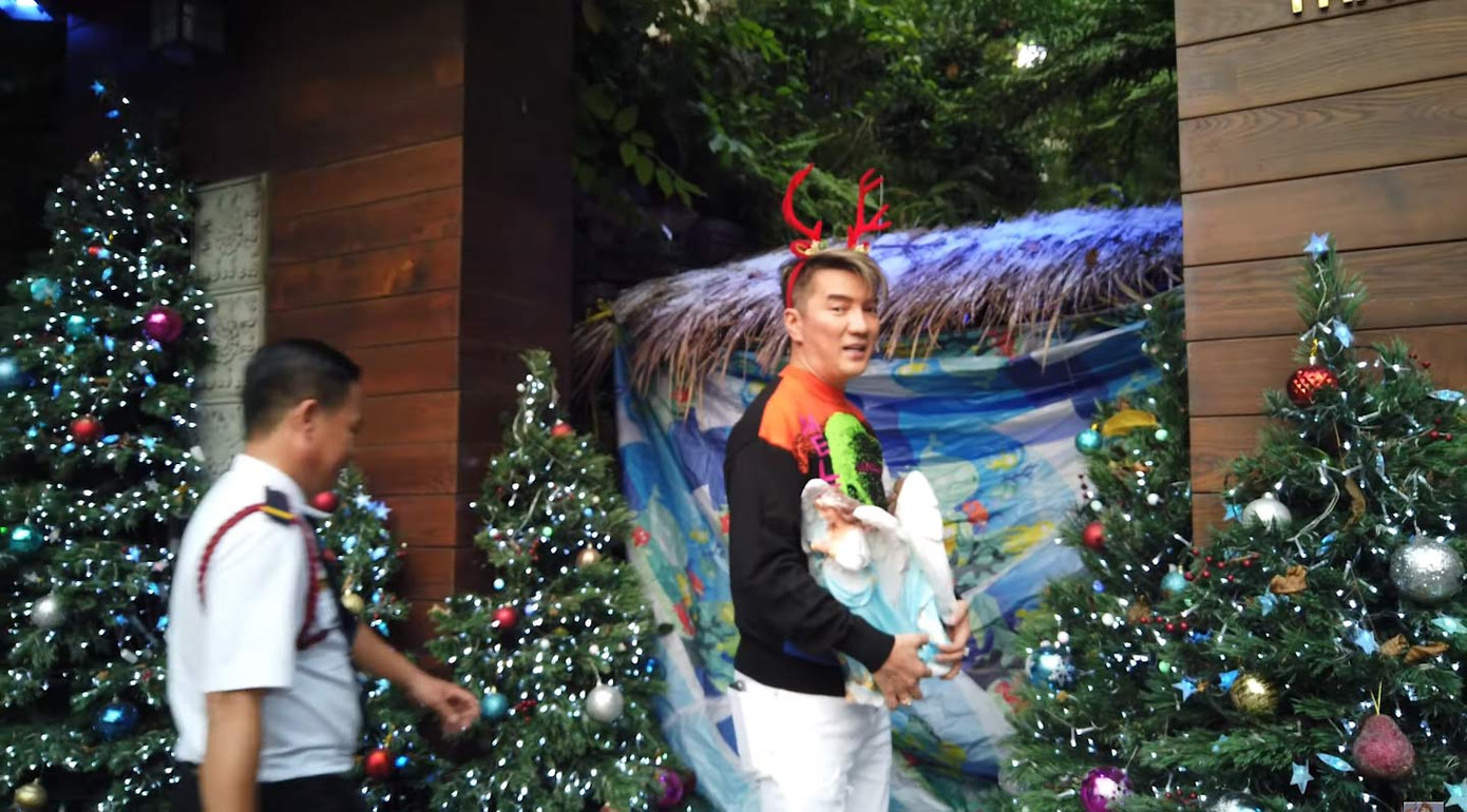 Đàm Vĩnh Hưng gây 'sốt' khi đeo bờm tuần lộc trang trí biệt thự đón Giáng sinh ảnh 8