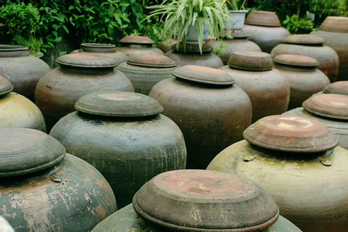 Chiêm ngưỡng vẻ đẹp di sản vẹn nguyên ở làng cổ Đường Lâm ảnh 12