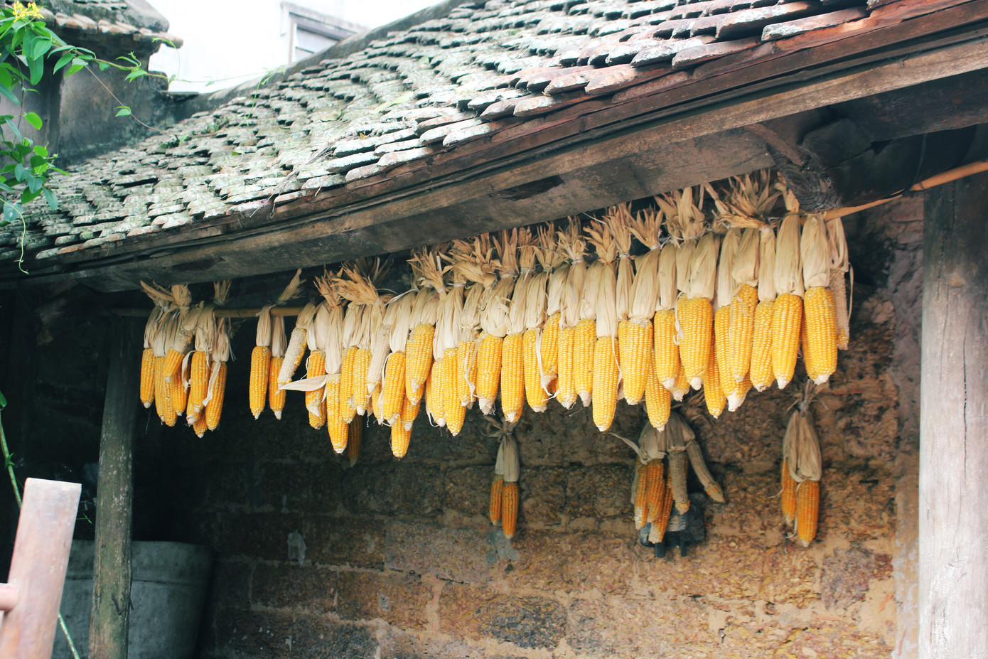 Chiêm ngưỡng vẻ đẹp di sản vẹn nguyên ở làng cổ Đường Lâm ảnh 10