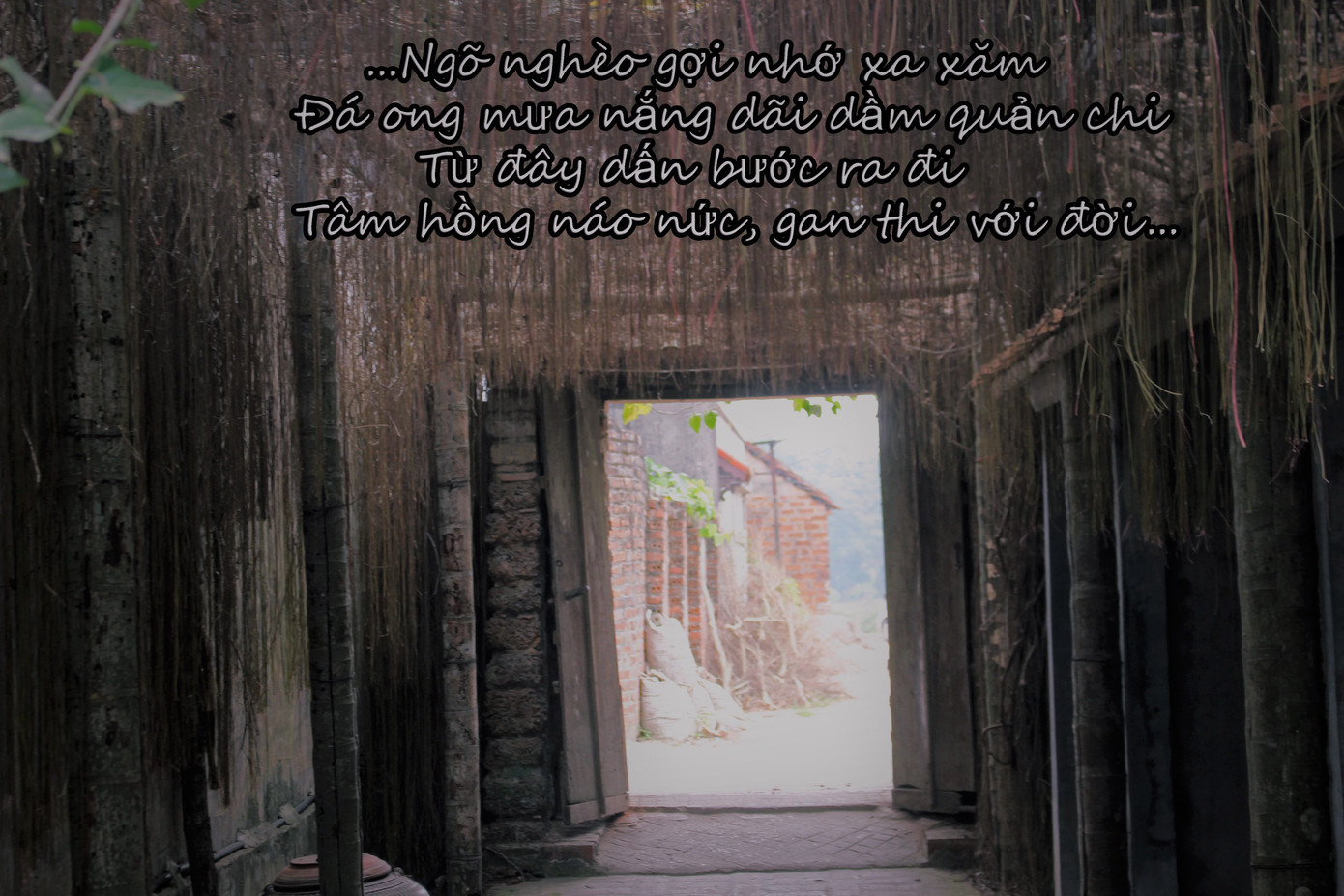 Chiêm ngưỡng vẻ đẹp di sản vẹn nguyên ở làng cổ Đường Lâm ảnh 5